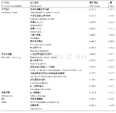 表1 鉴定到的干旱胁迫处理(WS)与充分供水(WW)之间小麦叶片显著差异表达蛋白