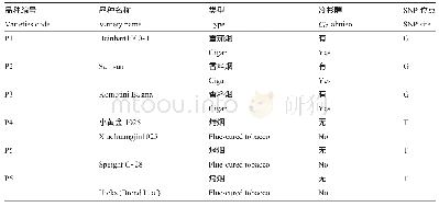 表2 6份亲本材料：烟草冷杉醇合成关键基因NtCPS2的SNP功能标记开发与应用