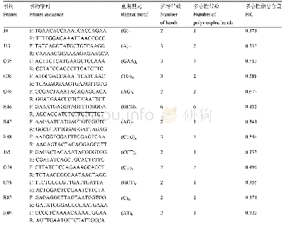 表4 13对多态引物信息