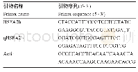 表1 Vt HSFB2b基因克隆及q RT-PCR分析所用引物序列