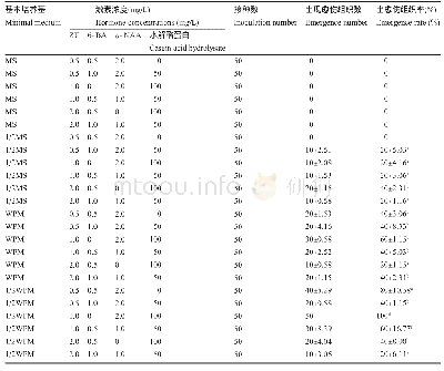 表3 迷人杜鹃与马缨杜鹃杂交种不同培养基出现愈伤组织情况