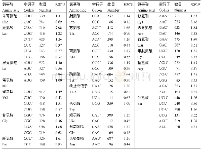 《表3 蒙古韭叶绿体基因组蛋白编码序列RSCU分析》