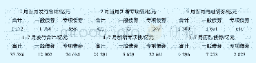 表2 2020年7月全国地方政府债券发布情况