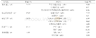 表2 能源绿色开发评价指标权重计算结果