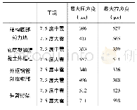 表7 结构关键部位动应变响应峰值