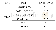 《表3 融资主体评价指标体系权重系数》