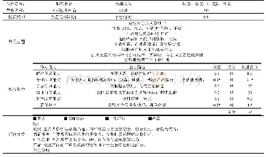 表3 整合性专题制作(Capstone)课程大纲设计表