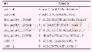 《表1 实时荧光定量PCR引物》