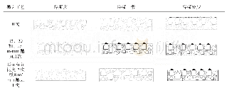 表3 不同抛丸工艺条件下桥面整体化层表面状况变化模型