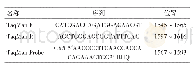 表1 FADV-4 hexon基因实时荧光定量PCR引物探针