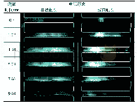 《表2 两种结构纵磁触头电弧形态》