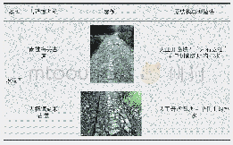 表2 南粤古驿道原结构案例（续）