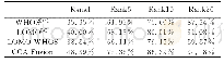 表2 Rank=1,5,10,20,WHOS特征，LOMO特征，CCA融合特征，连接特征用XQDA的识别结果