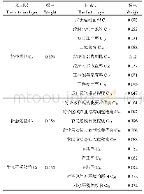 表1 基于AHP法的各指标权重