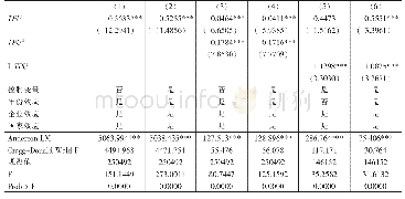 表3 两阶段最小二乘法（2SLS）检验与估计