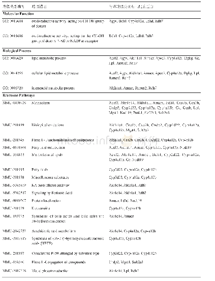 表2 共同差异表达基因GO分析和通路富集分析