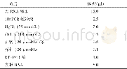 《表2 实时荧光PCR检测体系》