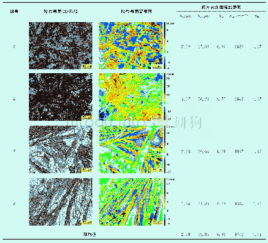 表2 醋酸综合症电影胶片表面粗糙度测试结果Surface roughness test results of film with acetic acid syndrome