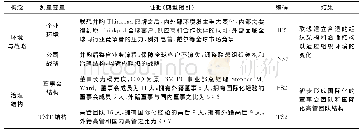 《表3 关键阶段的跨国治理能力形成特征》