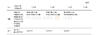 表3 W集团的主要功能、风险及资产整合