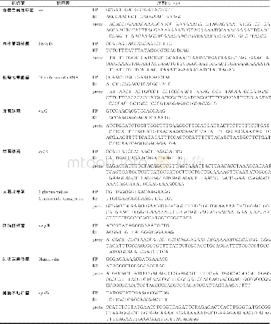 《表1 各菌种的特异性引物序列及特异性探针序列》