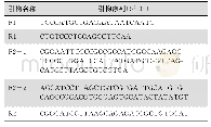 《表1 prM-E扩增引物》