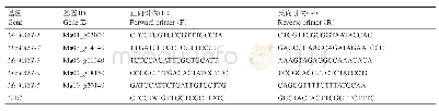 表1 本研究所用qRT-PCR引物