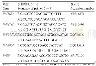 表1 qRT-PCR引物设计序列