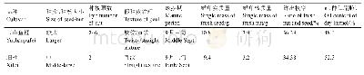 表1‘玉山鱼榧’与‘细榧’种实主要性状的比较