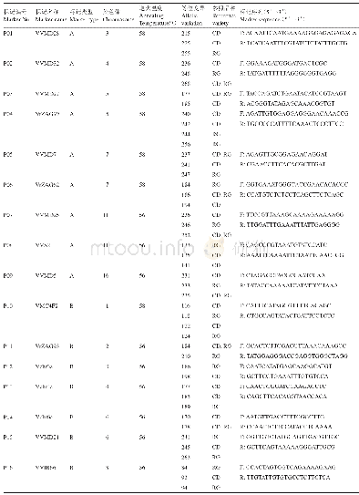 表3 30个葡萄SSR标记信息