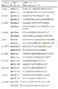 表2 实时荧光定量PCR引物