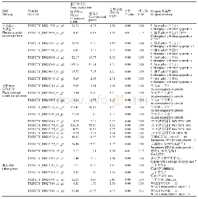 《表3 光合作用蛋白、植物激素信号转导途径和其他特定差异》