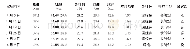 《表1 不同定植期娃娃菜的植物学性状》