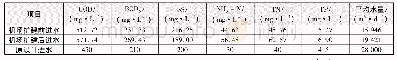 表1 实际进水及设计进水水质、水量