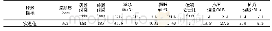 表2 主要技术参数Tab.2 Main technical parameters