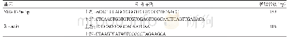 《表1 PCR扩增基因引物序列》