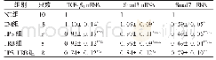 表3 各组大鼠TGF-β1m RNA、Smad3 m RNA及Smad7 m RNA表达比较(×10-2)(±s)