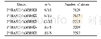 表1 P(BAMO/AMMO)组成及体系原子数