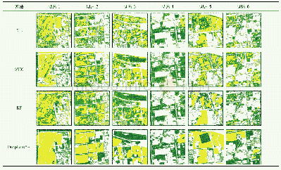 《表1 传统方法提取城市绿地结果对比Fig.1 Extraction results comparison of traditional methods》