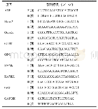 表1 RT-PCR引物序列