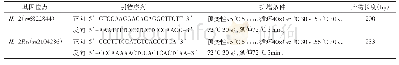 表1 引物序列及扩增条件