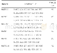 表1 碳青霉烯酶基因PCR扩增引物序列