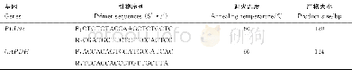 《表1 实时荧光定量引物序列》