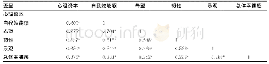 表3 被试总体幸福感、心理资本及其各维度之间的相关性分析（r)
