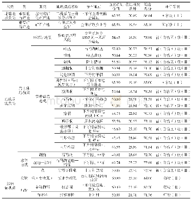 表1 下牙村（石马湖）地质遗迹及自然资源类型评分表