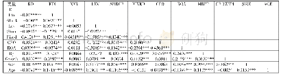 表4 主要变量相关系数表