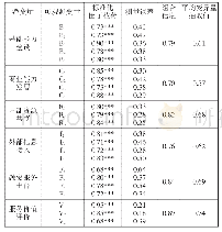 表4 计量模型的验证性因子分析