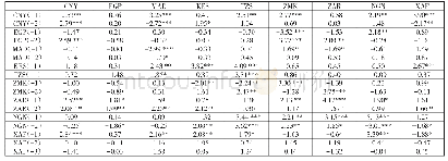 表3 人民币与主要非洲国家货币汇率收益率的VAR模型结果