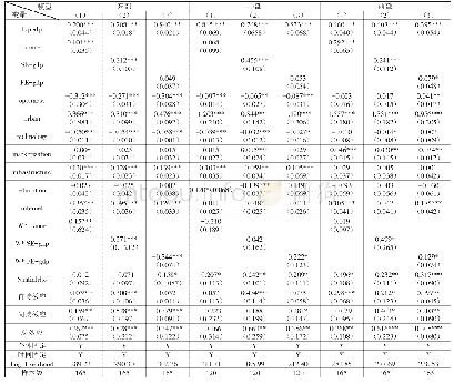 表4 分区域模型估计结果