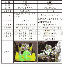 表4 在课堂教学中开展科技活动的两方式